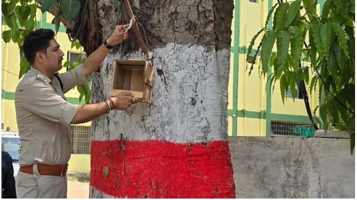 Forest Department will arrange 'Gharaunda' in every house in Jabalpur to protect the birds from the weather