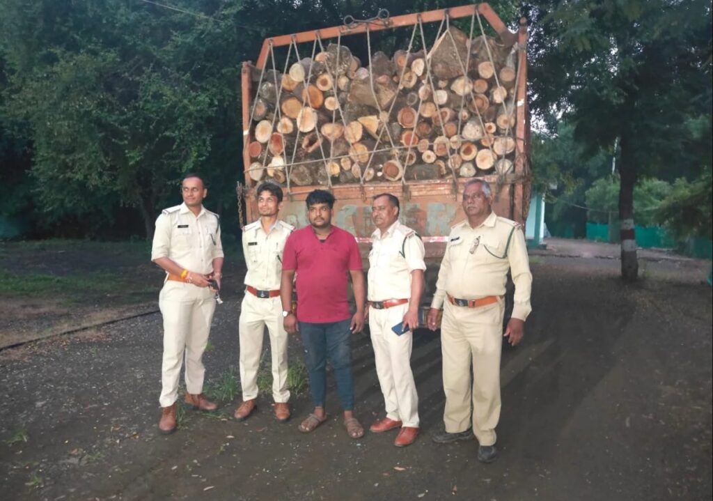 Forest department team got big success: Illegal wood was being transported in truck, seized