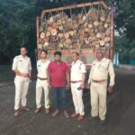 Forest department team got big success: Illegal wood was being transported in truck, seized