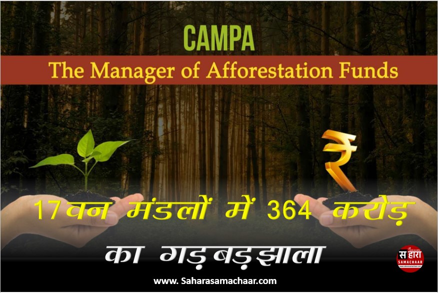 Misappropriation of Rs 364 crore in CAMPA fund in 17 forest divisions within three financial years