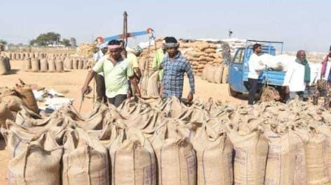 Sealed sacks from procurement centers found in Katni District, Madhya Pradesh, sparking an investigation.