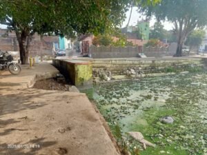 Ambah's historic pond in Morena, Madhya Pradesh, at risk of destruction due to neglect.