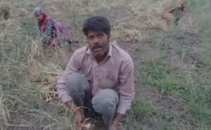 Farmers in Madhya Pradesh hurriedly covering their wheat and gram crops to protect them from unexpected rain.