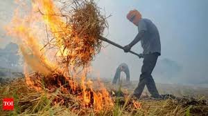 Stubble burning crackdown in Katni district, legal action against farmers for crop residue fires