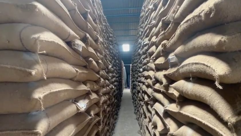 Wheat procurement scam in Sehore, suspended manager and blacklisted warehouses