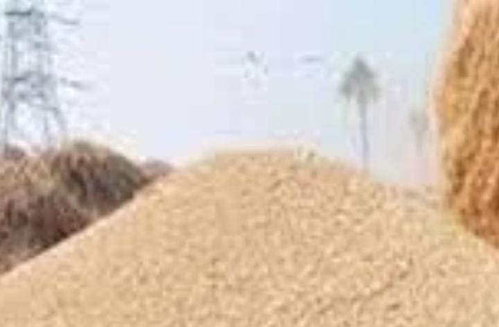 Allegations of irregularities in Barhi Bagaiha wheat procurement center