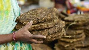 Panchayat cowshed scam in Mandsaur, CEO orders probe on missing funds