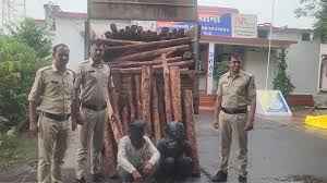 मंदसौर में लाल चंदन तस्करी का खुलासा – ट्रक से 2,260 किलो चंदन बरामद