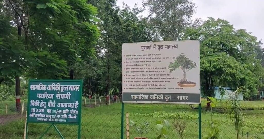 Ruined Eco Park in Sagar misused by minors as lover point, broken swings, dirty surroundings, lack of administration action.