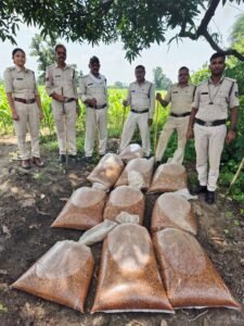 Seoni excise department illegal liquor raid mpsamwad.com