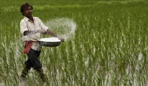 Collector suspends Shahdol society managers for fertilizer black marketing