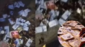 voter ID cards found near Union Minister Virendra Kumar Khatik’s bungalow in Tikamgarh, raising fake voter ID scam suspicion