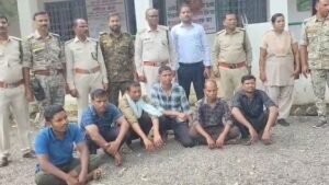 Tiger carcass investigation in Balaghat forest; forest guards arrested, officials suspended – mpsamwad.com exclusive