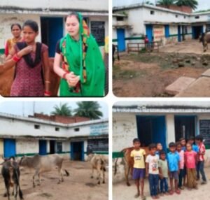 Katni Bandhawatola Government School surrounded by stray animals and garbage, children’s safety at risk due to municipal negligence, parents demand action