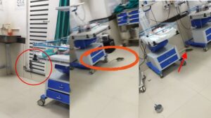 Chuhon ka khatra Shivpuri SNCU ward newborn babies