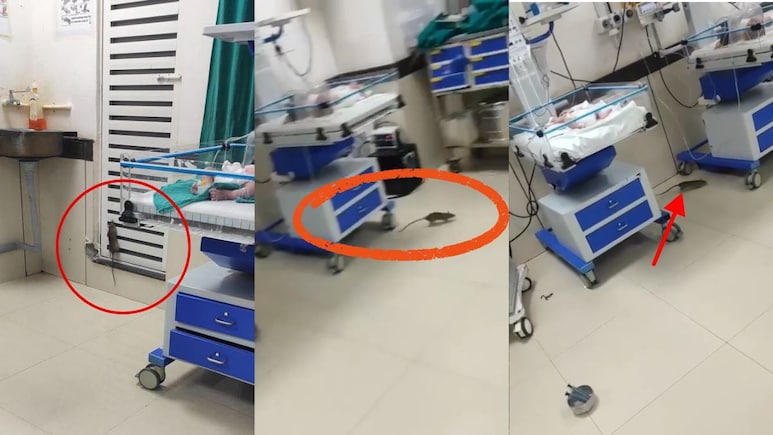 Chuhon ka khatra Shivpuri SNCU ward newborn babies