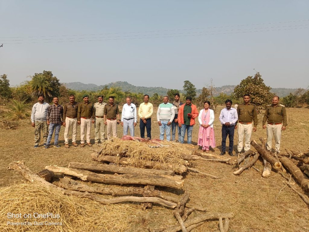 Dead leopard found in Balaghat forest area, investigation underway