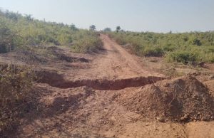 Illegal bauxite mining site in Katni where machines are removed before inspections, raising questions of information leaks