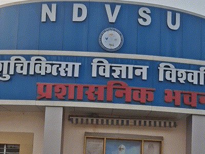 Alleged corruption in Panchgavya cow dung cow urine research project in Jabalpur Madhya Pradesh