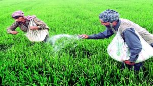 Agar Malwa farmers protest against e-token fertilizer system and digital hurdles in Madhya Pradesh