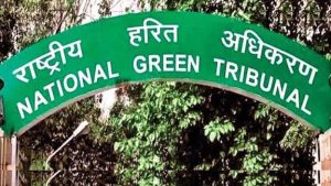 NGT orders removal of illegal dairies and encroachments on Narmada river flood zone in Jabalpur Madhya Pradesh