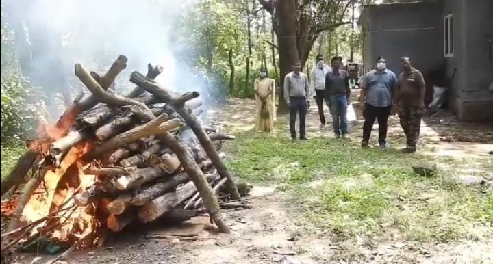 कान्हा टाइगर रिजर्व के उपचार केंद्र में इलाजरत मादा बाघ शावक